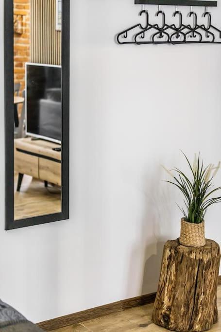 Appartement Rzeznicza 24 à Wrocław Extérieur photo
